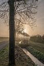 Mooie bomenlaand von Moetwil en van Dijk - Fotografie Miniaturansicht