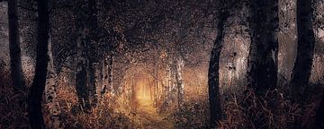 Herfst droom . Loofbos. Autumn forest. van Saskia Dingemans