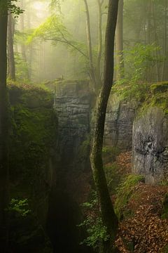 Belle matinée brumeuse dans la chaîne de montagnes Teufelschlucht dans l'Eifel, en Allemagne. sur Jos Pannekoek