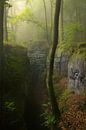 Mooie mistige ochtend in de Teufelschlucht in de Eifel, Duitsland van Jos Pannekoek thumbnail