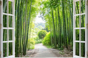 Raamuitzicht in het bamboebos