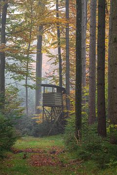Hunting stand in forest in autumn fog in south Germany