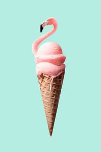 Flamingo Eis von Jonas Loose