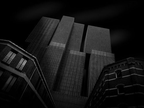 The Rotterdam