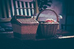 Picknickmanden in de zon