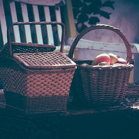 Picknickmanden in de zon van Alex Hamstra
