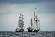 Segelschiffe auf der Ostsee vor Warnemünde von Rico Ködder Miniaturansicht
