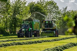 Récolte des foins par une journée caniculaire