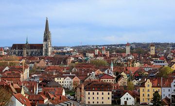 Uitzicht op Regensburg