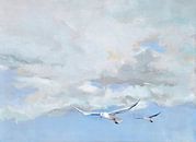 Gentle air with seagulls by Yvon Schoorl thumbnail
