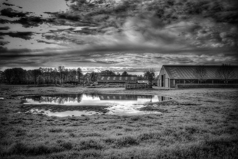 Boerderij van Monique Verlouw
