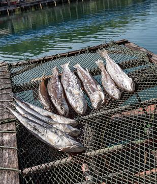 fish drying by Alex Neumayer