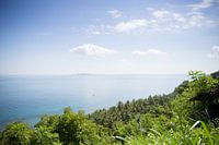 Palmen an der Küste von Lombok, Indonesien