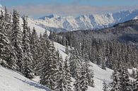Winter sports paradise; Austria's snowy mountains by Jeroen Meeuwsen thumbnail
