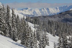 Ski gebied von Jeroen Meeuwsen