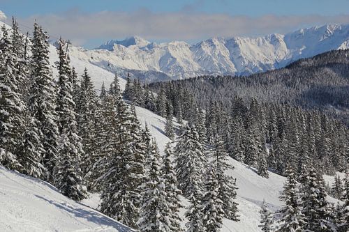 Winter sports paradise; Austria's snowy mountains