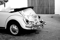 Ibiza wedding van Photo Dutch thumbnail