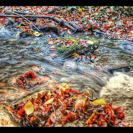 L'ourthe sur Menno Bausch