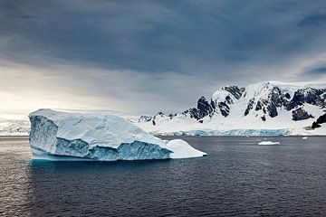 De ijsbergen van Antarctica van Roland Brack