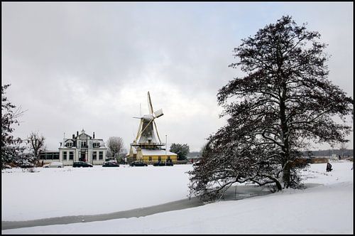 Nederlandse windmolen in de winter Kralingse bos Rotterdam winter
