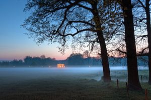 Het Laer in de Mist van Volt