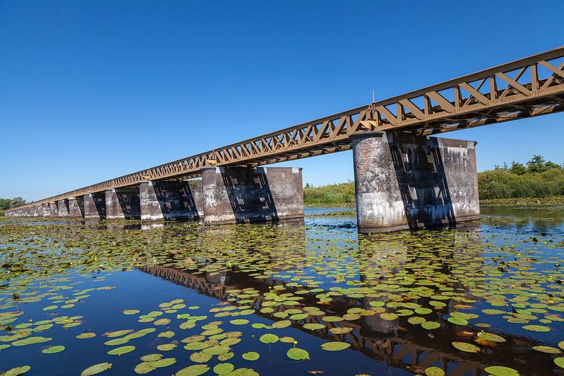 Reflecties bij de Moerputtenbrug van Nel Diepstraten