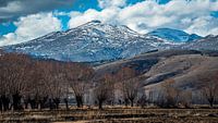 Snowy Mountain