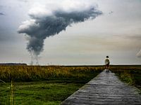 The walker