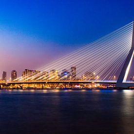 Erasmusbrücke Skyline Rotterdam von Bri Fotografie