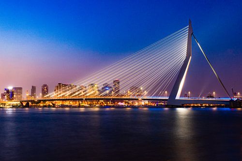 Erasmus Bridge by night Rotterdam