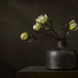 Modern still life with white magnolia by Silvia Thiel
