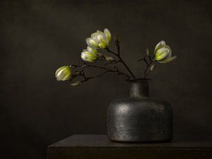 Nature morte moderne avec magnolia blanc