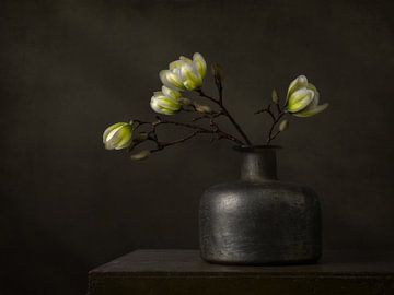 Modern still life with white magnolia