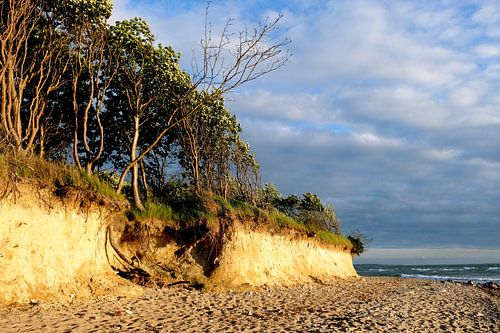 On the high bank by Ostsee Bilder