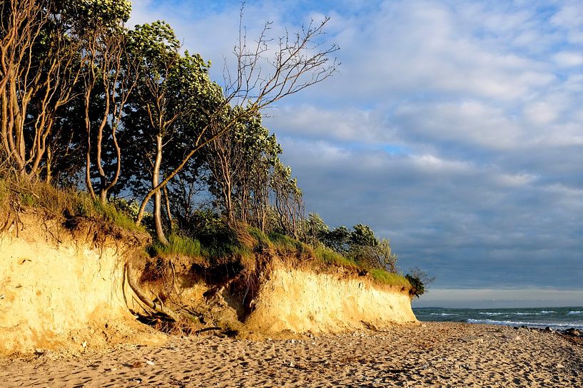 On the high bank by Ostsee Bilder