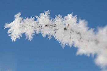 Ice Crystals