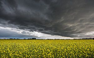storm over de polder von Jan Heijmans