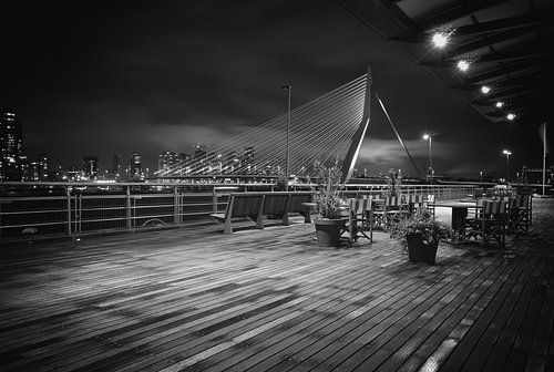 Rotterdam Erasmusbrug