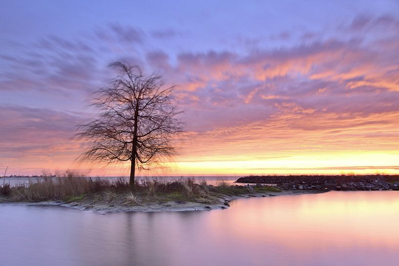 Einzelner Baum am Wasser von John Leeninga