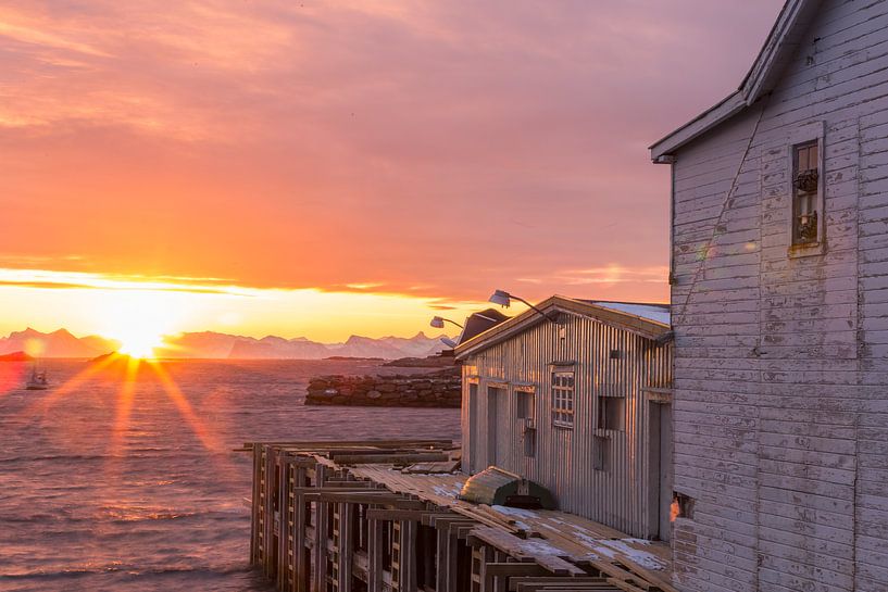 Sunrise over old wooden house at sea in Henningsvaer, Lofoten, Norway by Sander Groffen