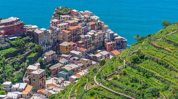 Manarola, een van dorpen van Cinque Terre (Italië)