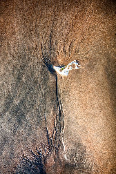 Sand 107 von Willy Lippens