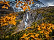 HERFSTWATERVAL van Simon Schuhmacher thumbnail