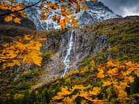 AUTUMN WATERFALL