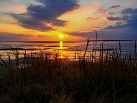 Wadden Sea at sunset on the beach