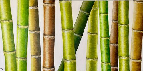 Bambou