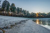 WinterWonderLand