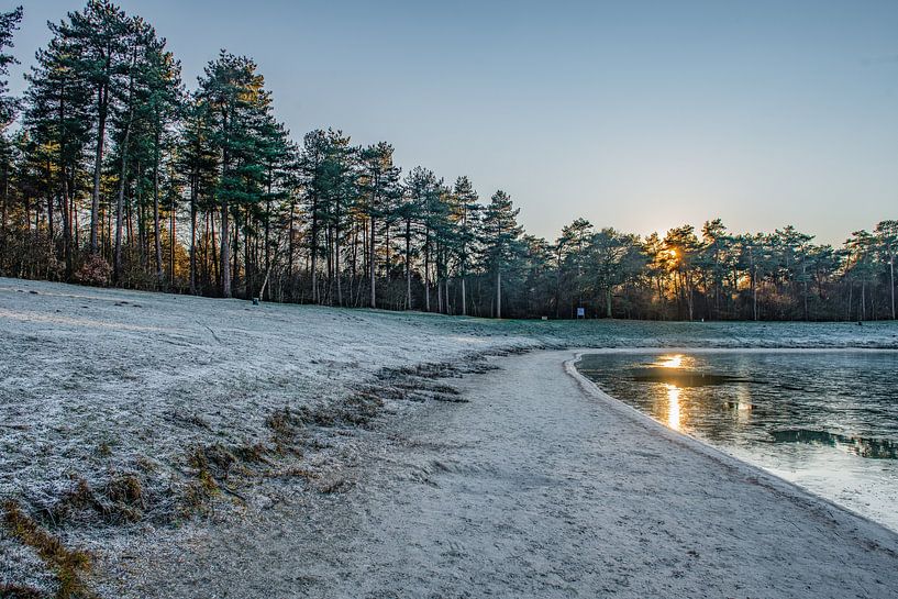 Winterlandschap 'Het Zand' Alphen,Nederland van Michel Van Giersbergen
