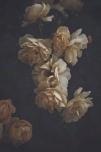 Gele rozen van Marina de Wit