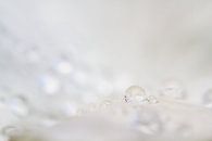Serenity by QEIMOY thumbnail